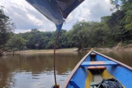 Camino hacia Puerto Nariño en bote por el Amazonas (Colombia) - Instinto Mochilero