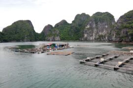 Viaje en grupo a Vietnam, Halong Bay - Instinto Mochilero