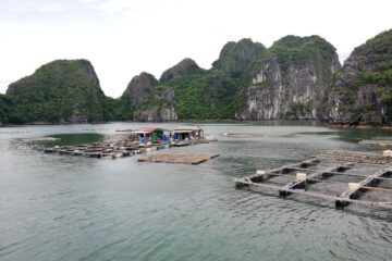 Viaje en grupo a Vietnam, Halong Bay - Instinto Mochilero