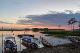 Amazonas colombiano 100% en 15 días